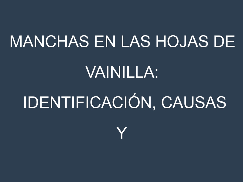 Manchas en las hojas de Vainilla: Identificación, Causas y Estrategias de Control Efectivo