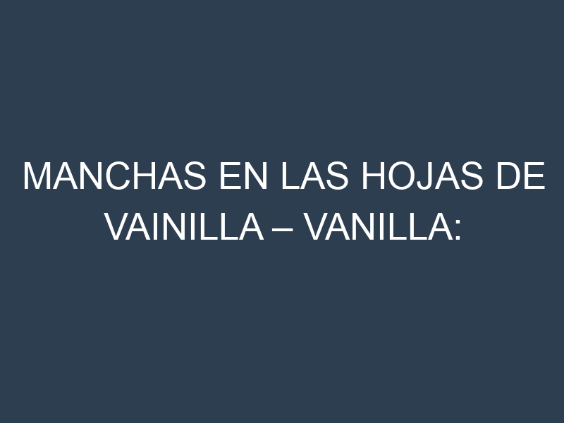 Manchas en las hojas de Vainilla – Vanilla: Identificación, Causas y Estrategias de Control Efectivo