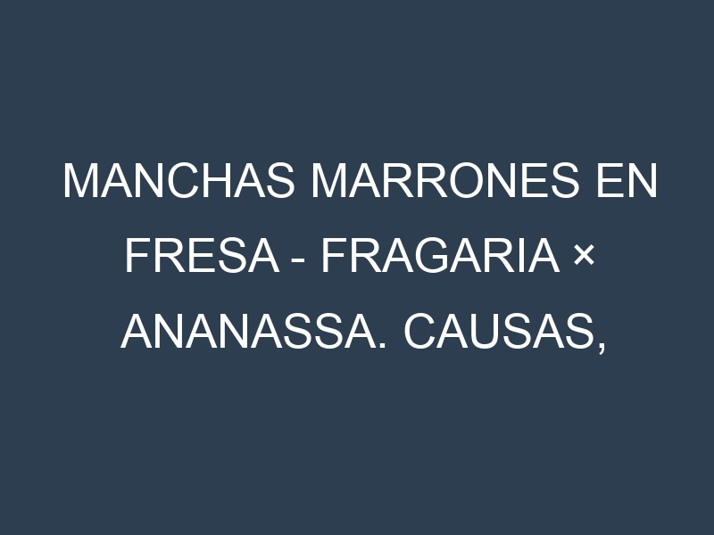 Manchas marrones en Fresa – Fragaria × ananassa. Causas, Prevención y Soluciones