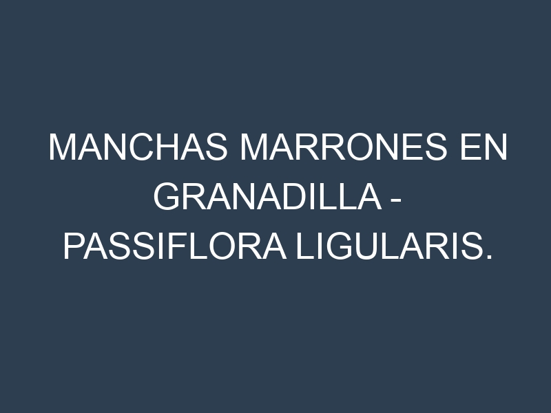 Manchas marrones en Granadilla – Passiflora ligularis. Causas, Prevención y Soluciones