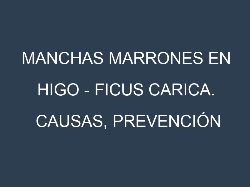 Manchas marrones en Higo – Ficus carica. Causas, Prevención y Soluciones