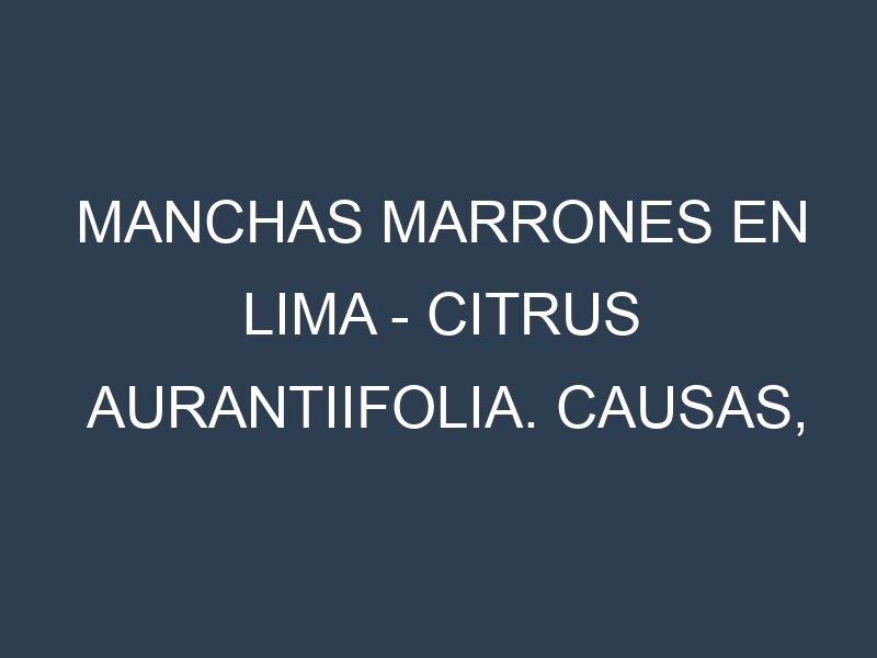 Manchas marrones en Lima – Citrus aurantiifolia. Causas, Prevención y Soluciones