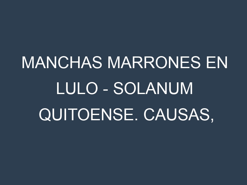 Manchas marrones en Lulo – Solanum quitoense. Causas, Prevención y Soluciones