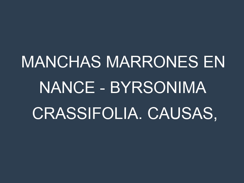 Manchas marrones en Nance – Byrsonima crassifolia. Causas, Prevención y Soluciones
