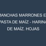 Manchas Marrones en Pasta de maíz – Harina de maíz. Hojas con manchas marrones en Pasta de maíz – Harina de maíz.