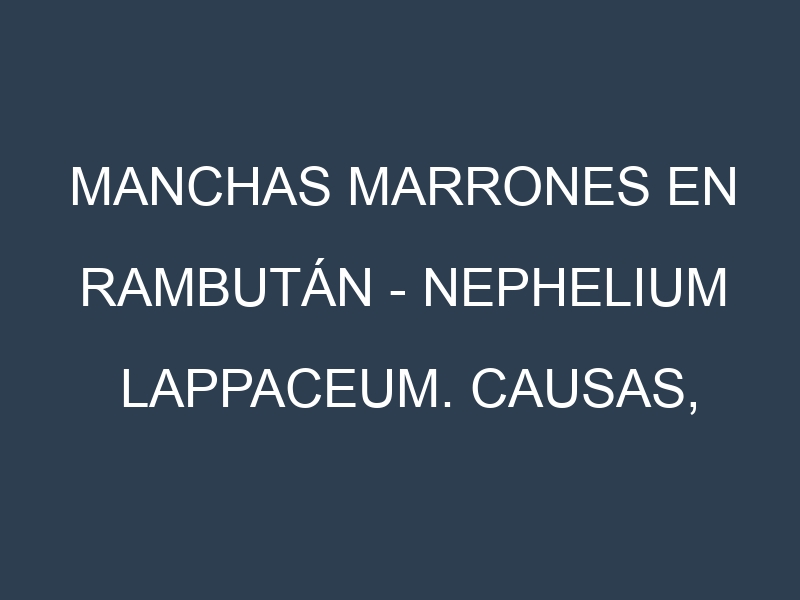 Manchas marrones en Rambután – Nephelium lappaceum. Causas, Prevención y Soluciones