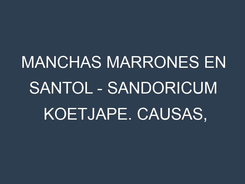 Manchas marrones en Santol – Sandoricum koetjape. Causas, Prevención y Soluciones