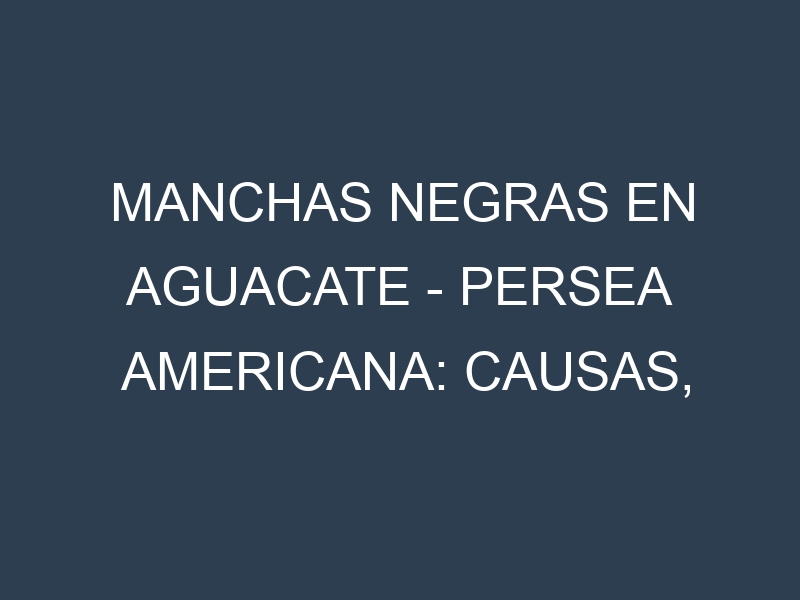 Manchas Negras en Aguacate – Persea americana: Causas, Efectos y Manejo