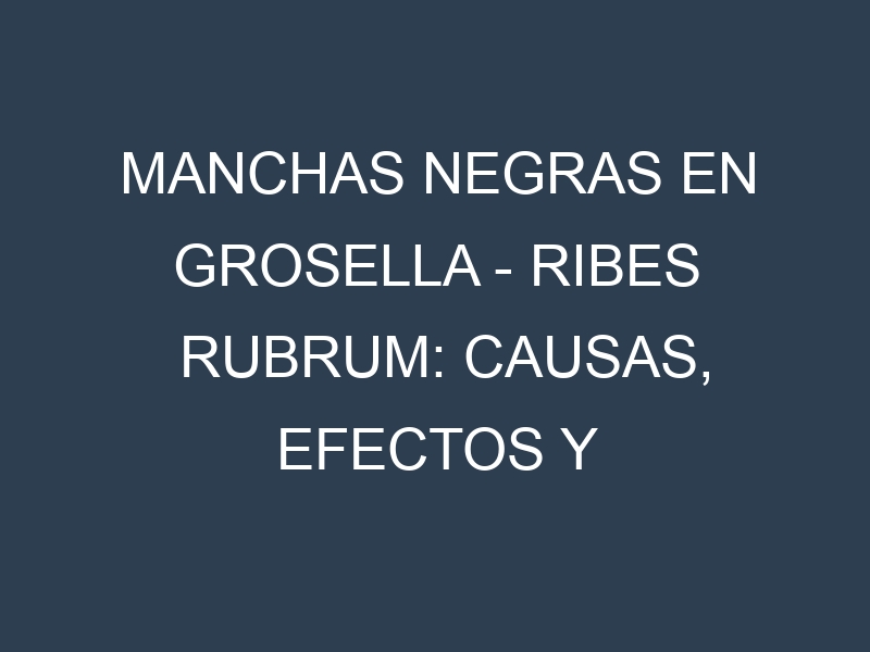 Manchas Negras en Grosella – Ribes rubrum: Causas, Efectos y Manejo