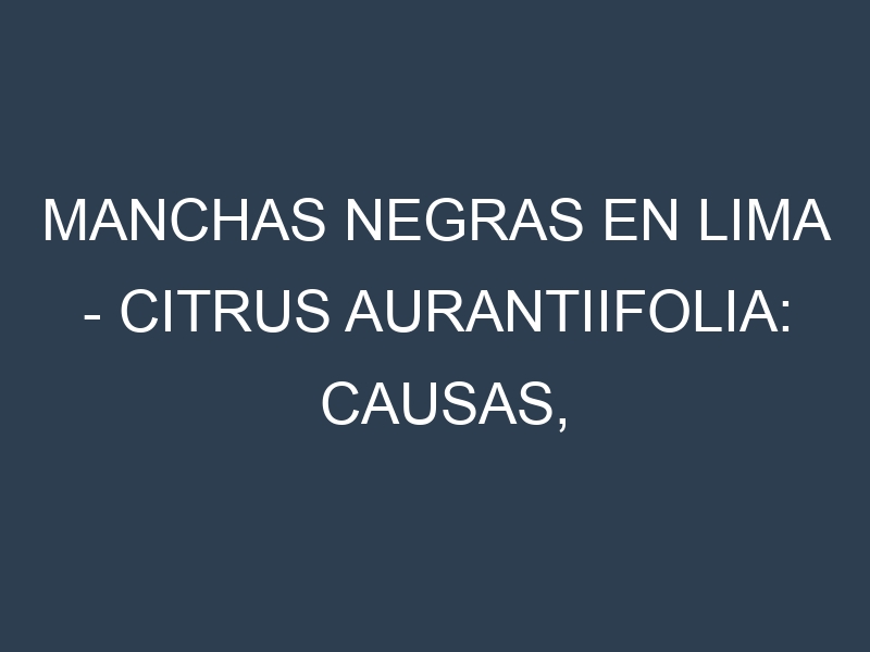 Manchas Negras en Lima – Citrus aurantiifolia: Causas, Efectos y Manejo