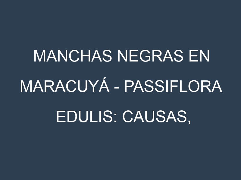 Manchas Negras en Maracuyá – Passiflora edulis: Causas, Efectos y Manejo