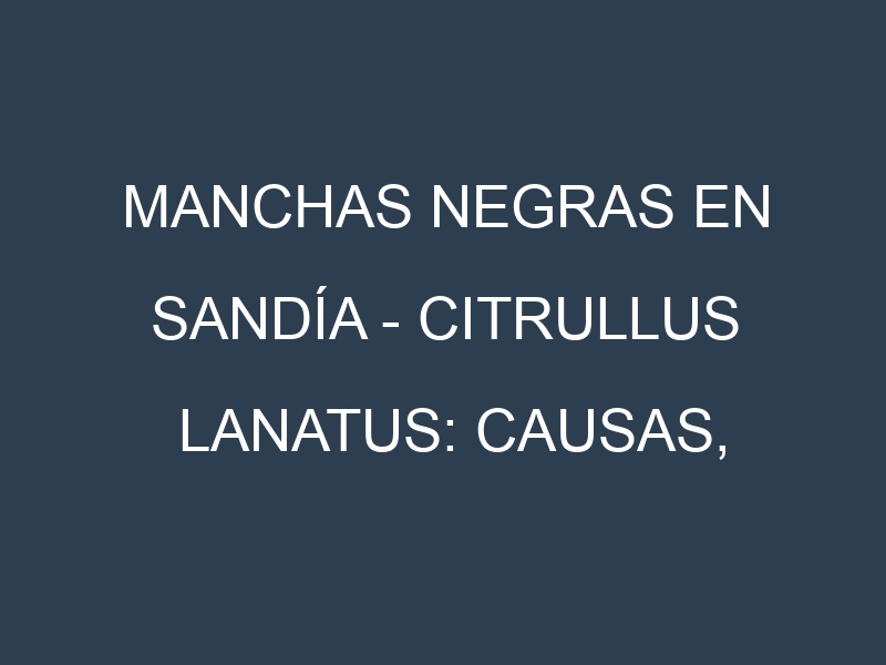 Manchas Negras en Sandía – Citrullus lanatus: Causas, Efectos y Manejo