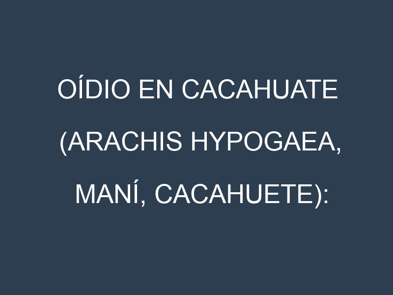 Oídio en Cacahuate (Arachis hypogaea, Maní, Cacahuete): síntomas, ciclo de vida y estrategias de control