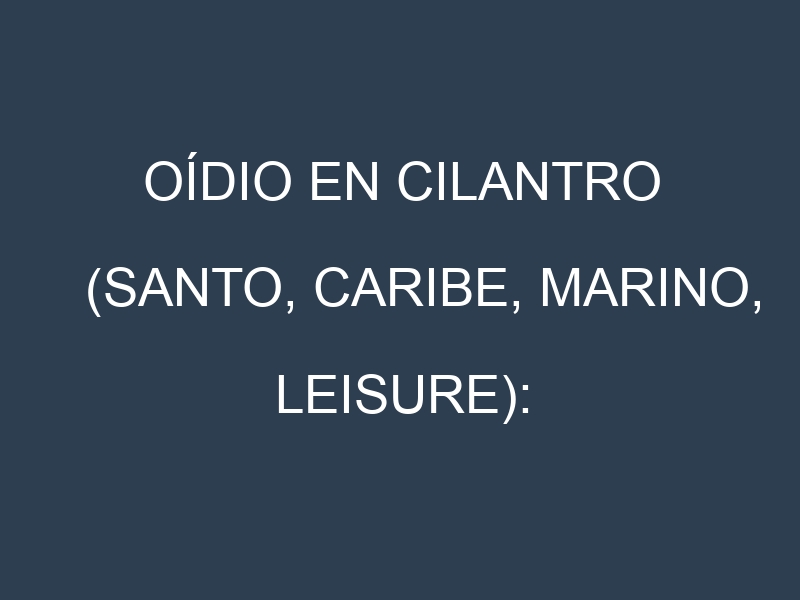 Oídio en Cilantro (Santo, Caribe, Marino, Leisure): síntomas, ciclo de vida y estrategias de control