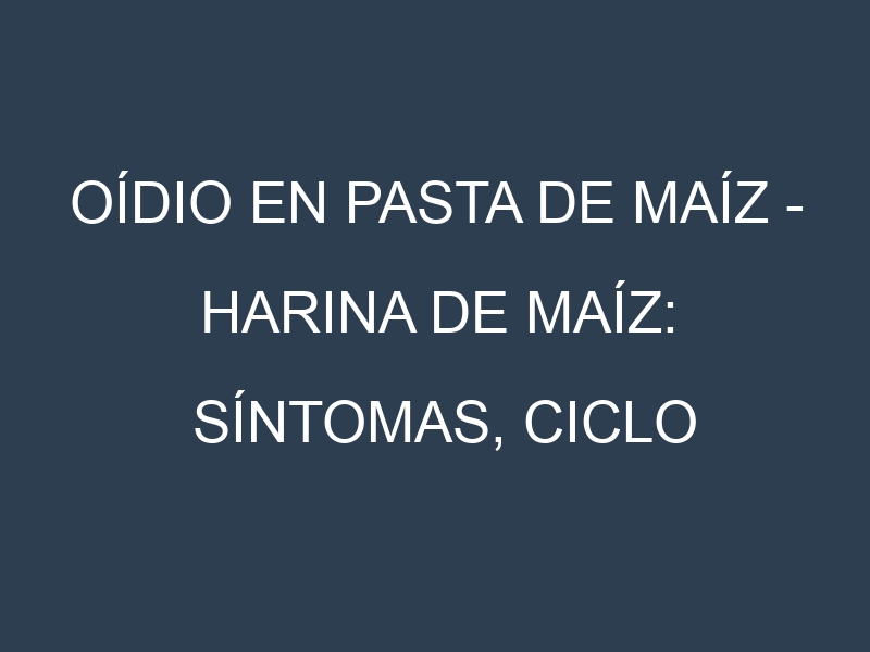 Oídio en Pasta de maíz – Harina de maíz: síntomas, ciclo de vida y estrategias de control