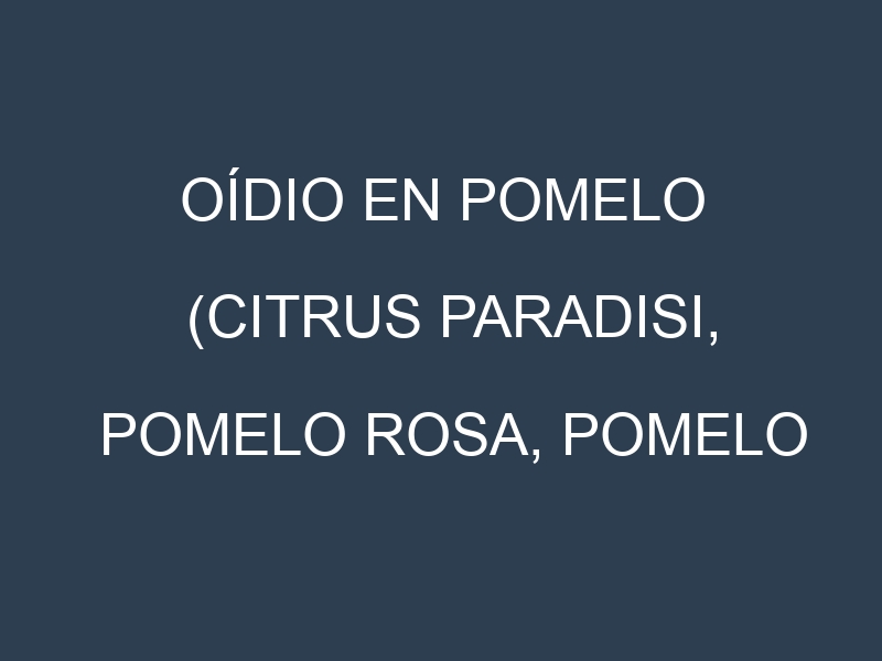 Oídio en Pomelo (Citrus paradisi, Pomelo rosa, Pomelo blanco): síntomas, ciclo de vida y estrategias de control