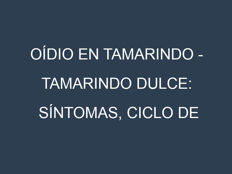 Oídio en Tamarindo – Tamarindo dulce: síntomas, ciclo de vida y estrategias de control