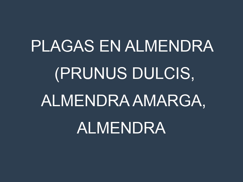 Plagas en Almendra (Prunus dulcis, Almendra amarga, Almendra dulce). Control biológico y Manejo de plagas.