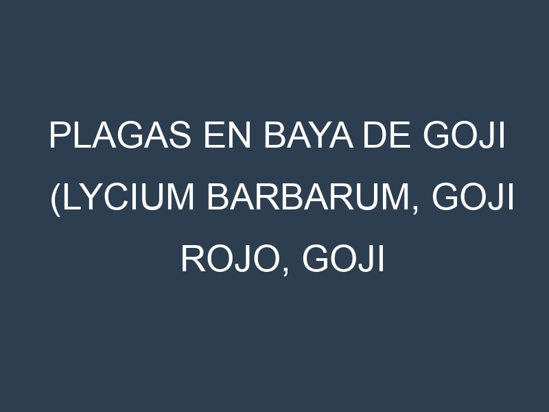 Plagas en Baya de goji (Lycium barbarum, Goji rojo, Goji común). Control biológico y Manejo de plagas.