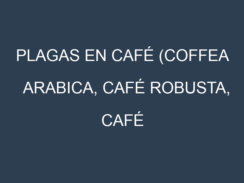 Plagas en Café (Coffea arabica, Café robusta, Café arábica). Control biológico y Manejo de plagas.