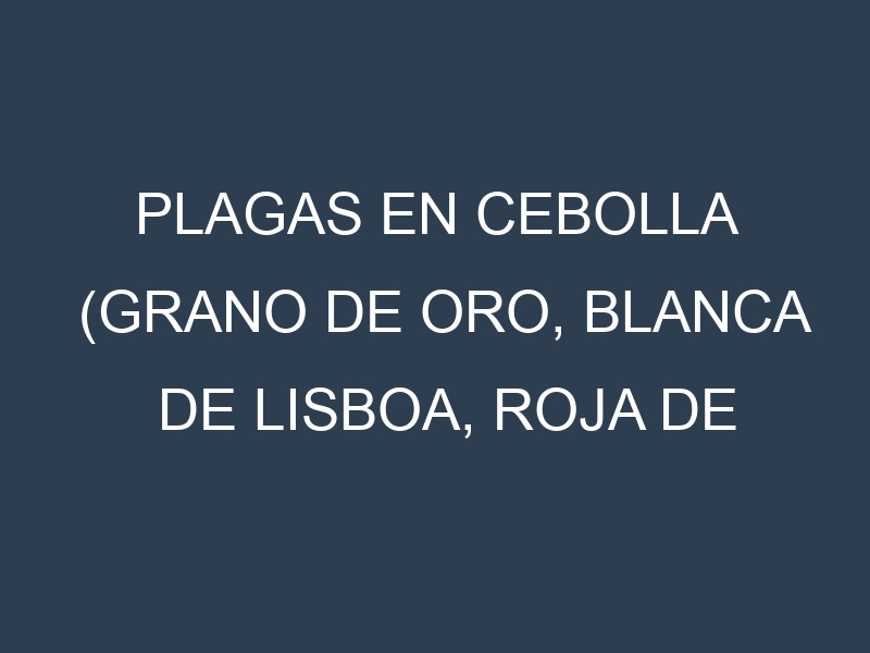 Plagas en Cebolla (Grano de Oro, Blanca de Lisboa, Roja de Zalla, Chalote). Control biológico y Manejo de plagas.