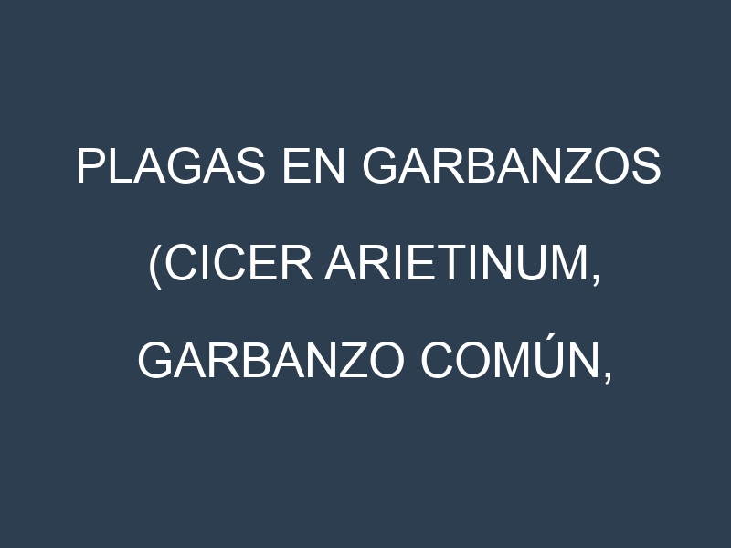 Plagas en Garbanzos (Cicer arietinum, Garbanzo común, Garbanzo de oído). Control biológico y Manejo de plagas.