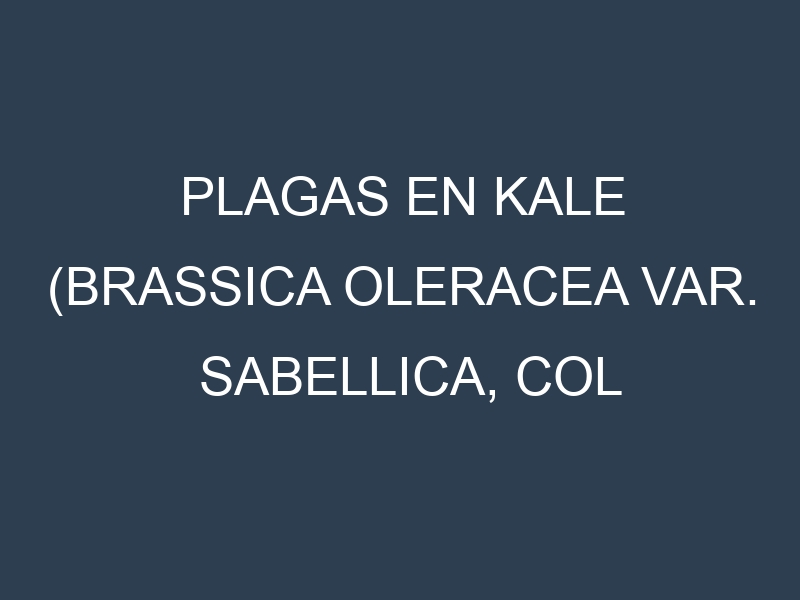 Plagas en Kale (Brassica oleracea var. sabellica, Col rizada, Kale rizado). Control biológico y Manejo de plagas.