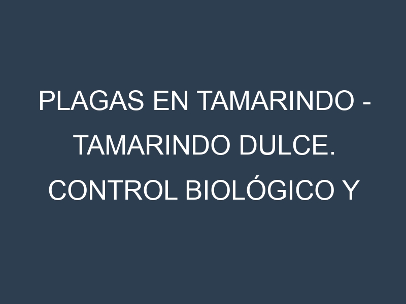 Plagas en Tamarindo – Tamarindo dulce. Control biológico y Manejo de plagas.