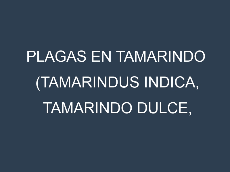 Plagas en Tamarindo (Tamarindus indica, Tamarindo dulce, Tamarindo ácido). Control biológico y Manejo de plagas.