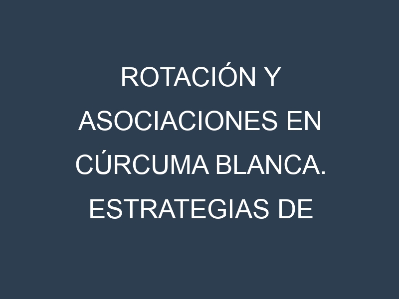 Rotación y Asociaciones en Cúrcuma blanca. Estrategias de rotación y Beneficios de las asociaciones de cultivos.