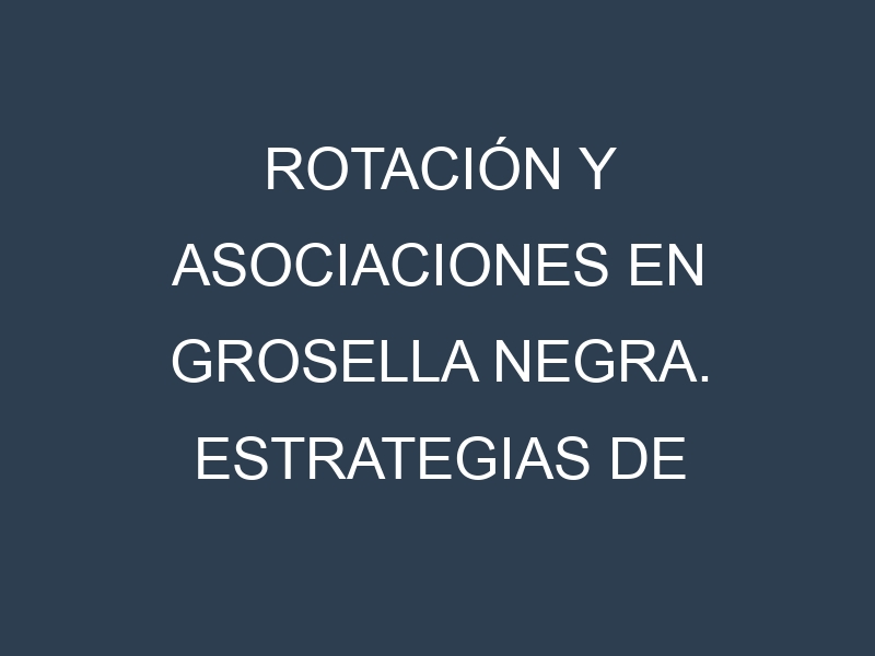 Rotación y Asociaciones en Grosella negra. Estrategias de rotación y Beneficios de las asociaciones de cultivos.