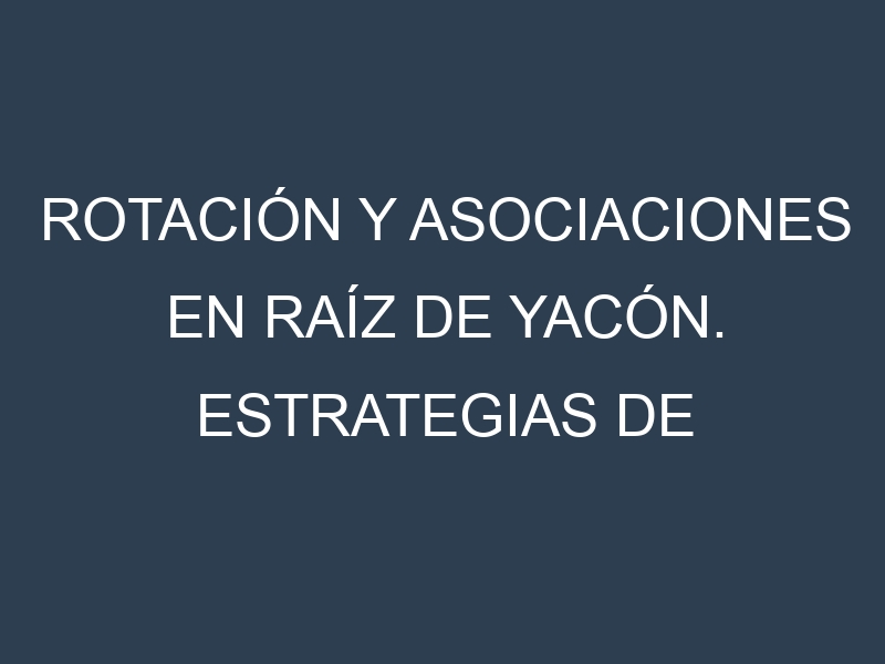 Rotación y Asociaciones en Raíz de yacón. Estrategias de rotación y Beneficios de las asociaciones de cultivos.