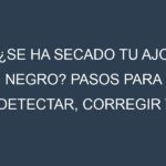 ¿Se ha secado tu Ajo negro? Pasos para Detectar, Corregir y Prevenir.