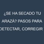 ¿Se ha secado tu Arazá? Pasos para Detectar, Corregir y Prevenir.