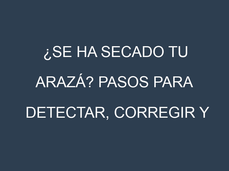 ¿Se ha secado tu Arazá? Pasos para Detectar, Corregir y Prevenir.