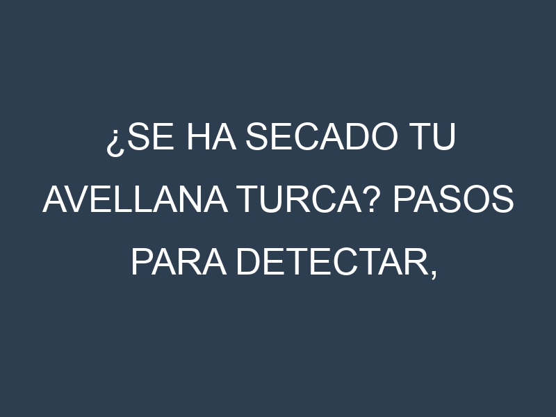 ¿Se ha secado tu Avellana turca? Pasos para Detectar, Corregir y Prevenir.