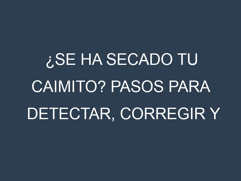 ¿Se ha secado tu Caimito? Pasos para Detectar, Corregir y Prevenir.