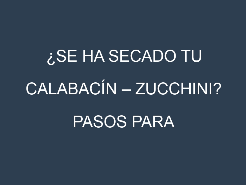¿Se ha secado tu Calabacín – Zucchini? Pasos para Detectar, Corregir y Prevenir.