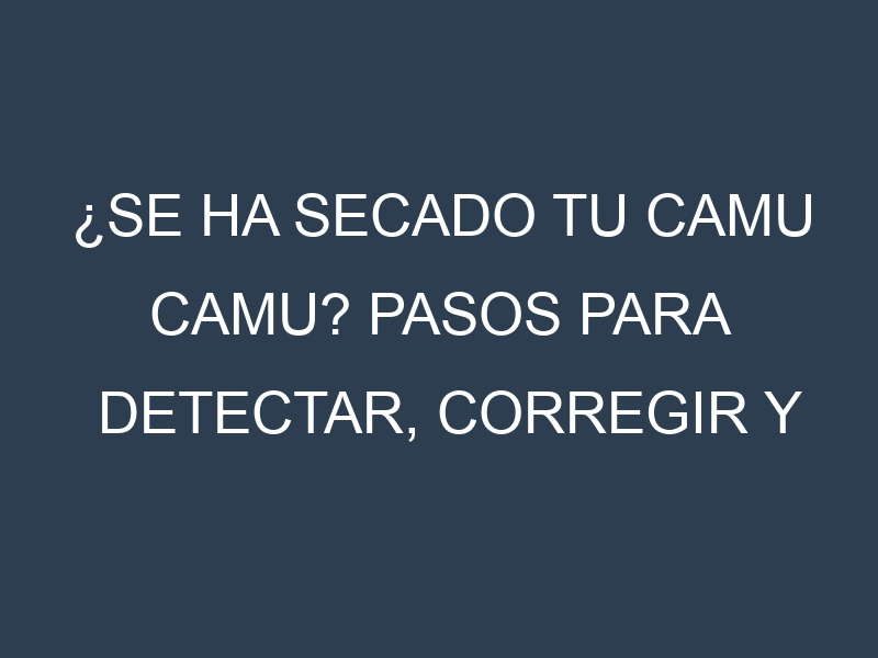 ¿Se ha secado tu Camu Camu? Pasos para Detectar, Corregir y Prevenir.