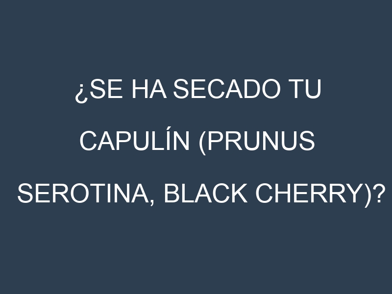 ¿Se ha secado tu Capulín (Prunus serotina, black cherry)? Pasos para Detectar, Corregir y Prevenir.