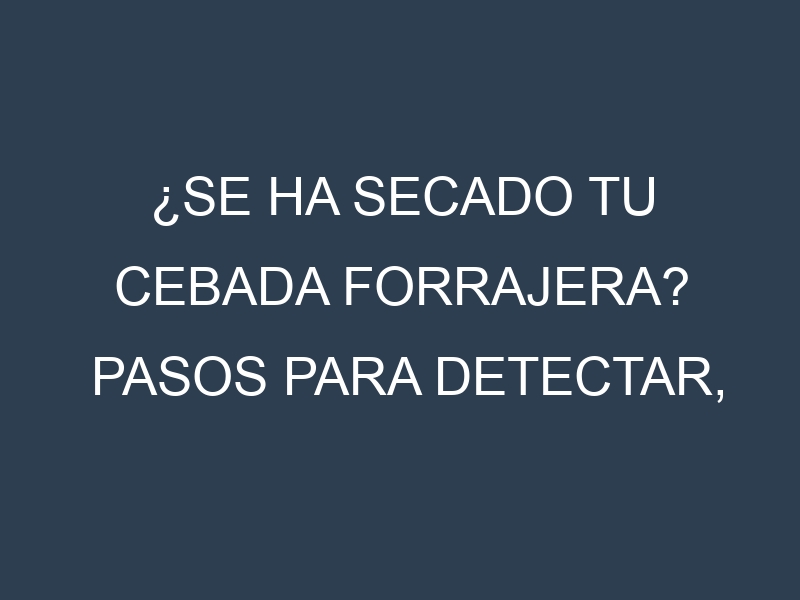 ¿Se ha secado tu Cebada forrajera? Pasos para Detectar, Corregir y Prevenir.