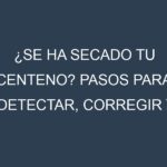 ¿Se ha secado tu Centeno? Pasos para Detectar, Corregir y Prevenir.
