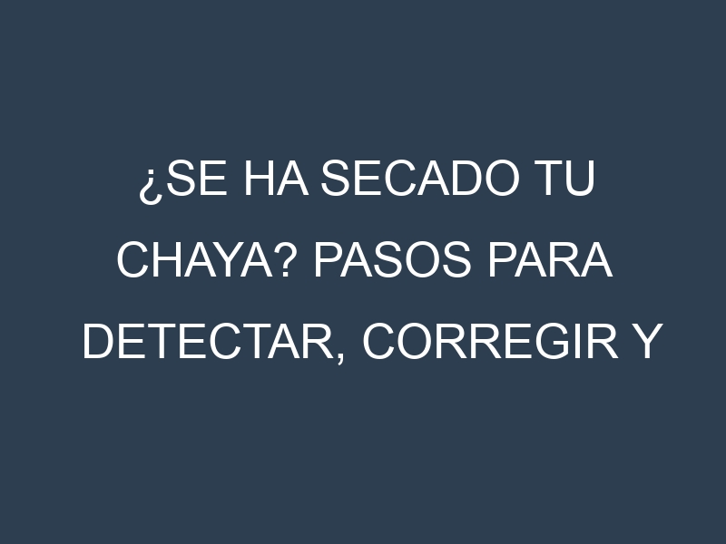 ¿Se ha secado tu Chaya? Pasos para Detectar, Corregir y Prevenir.