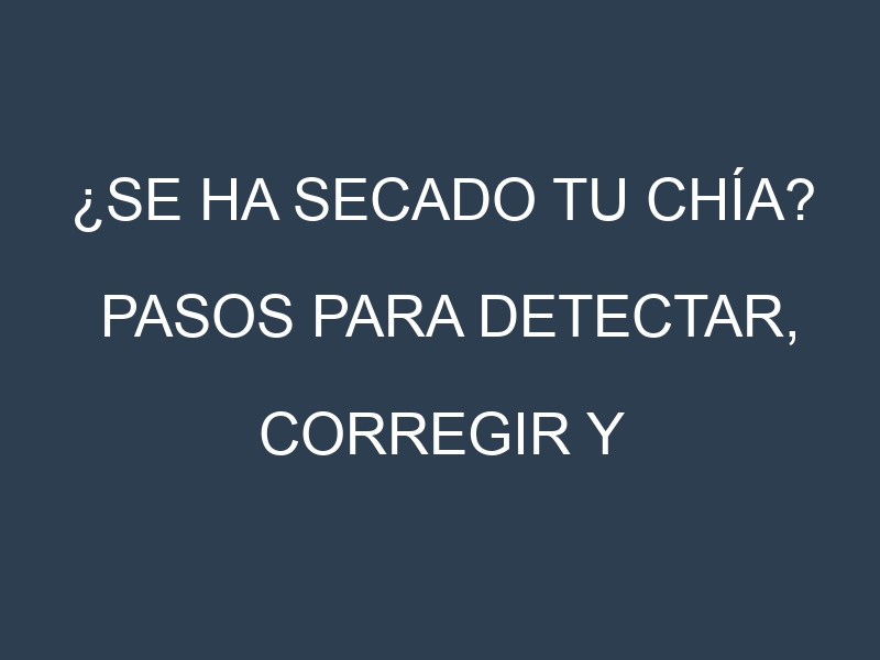 ¿Se ha secado tu Chía? Pasos para Detectar, Corregir y Prevenir.