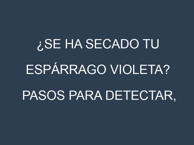 ¿Se ha secado tu Espárrago violeta? Pasos para Detectar, Corregir y Prevenir.