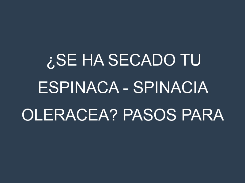 ¿Se ha secado tu Espinaca – Spinacia oleracea? Pasos para Detectar, Corregir y Prevenir.