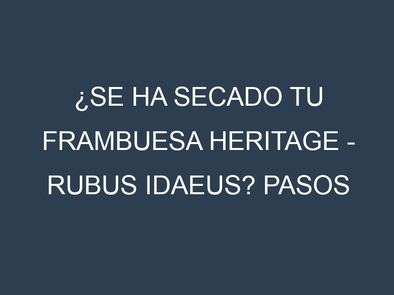 ¿Se ha secado tu Frambuesa Heritage – Rubus idaeus? Pasos para Detectar, Corregir y Prevenir.
