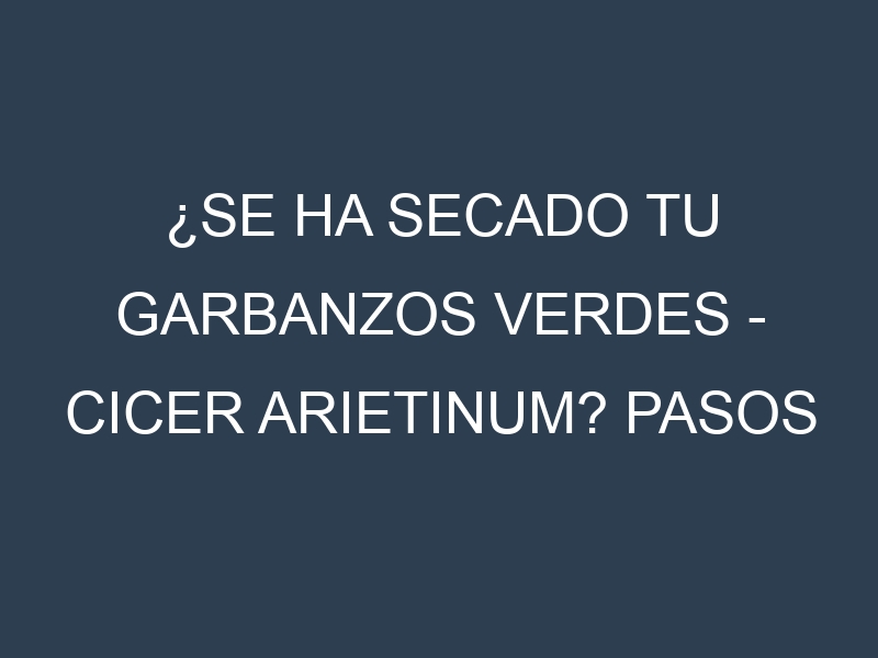 ¿Se ha secado tu Garbanzos verdes – Cicer arietinum? Pasos para Detectar, Corregir y Prevenir.