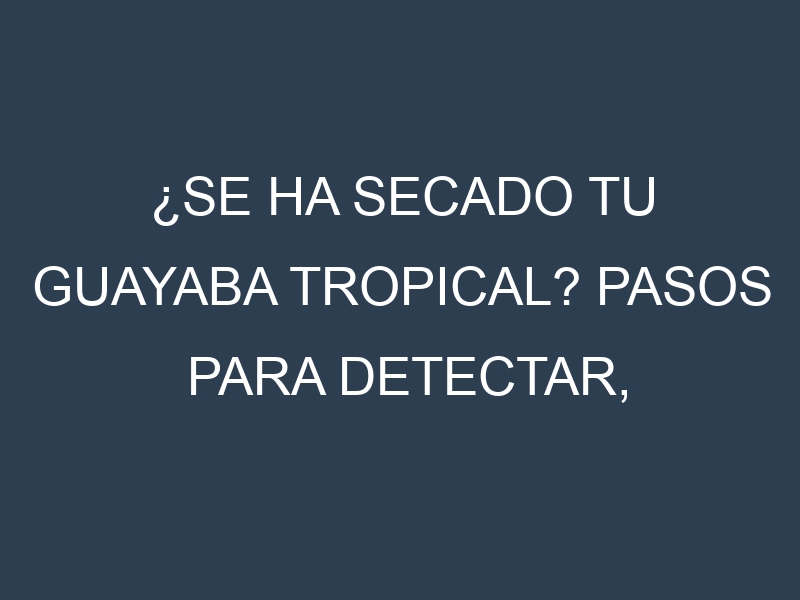 ¿Se ha secado tu Guayaba tropical? Pasos para Detectar, Corregir y Prevenir.