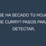 ¿Se ha secado tu Hojas de curry? Pasos para Detectar, Corregir y Prevenir.